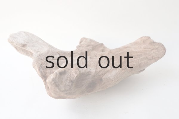 画像6: 変形流木 (6)