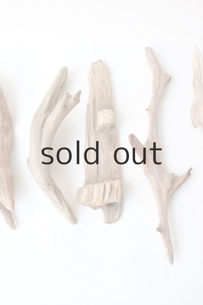 画像3: 変形流木セット (3)