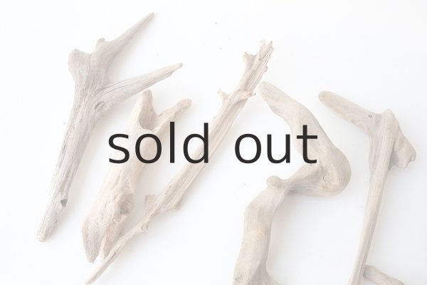 画像2: 変形流木セット (2)