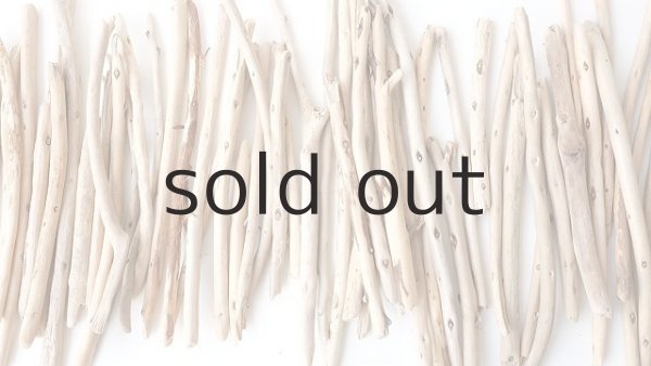 画像3: 棒流木・極細セット (3)