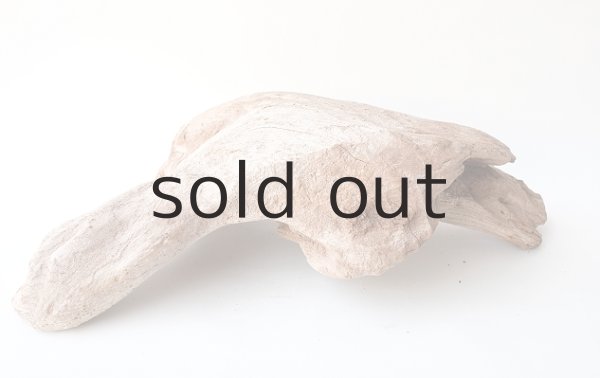 画像2: 変形流木 (2)