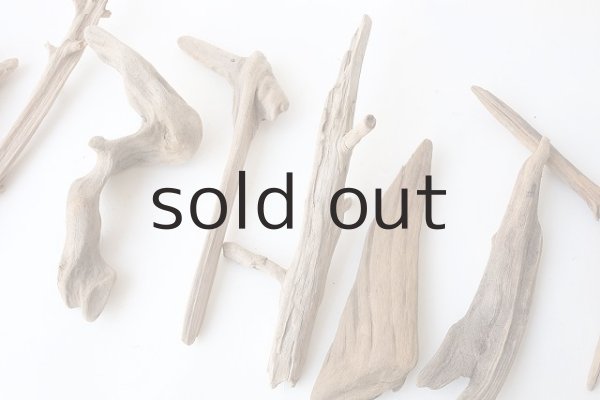 画像3: 変形流木セット (3)