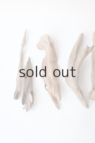 画像2: 変形流木セット (2)