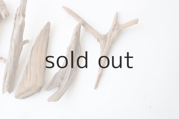 画像4: 変形流木セット (4)