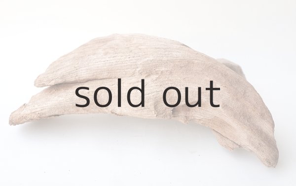 画像4: 変形流木 (4)