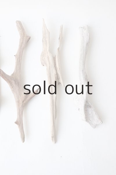 画像4: 変形流木セット (4)