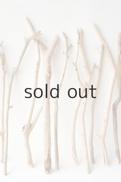 画像3: 小枝流木セット (3)