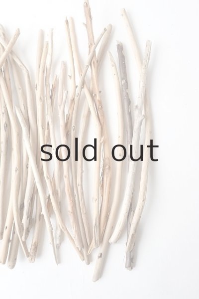 画像5: 棒流木・極細セット (5)