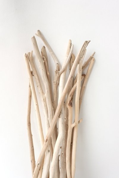 画像2: 小枝流木セット