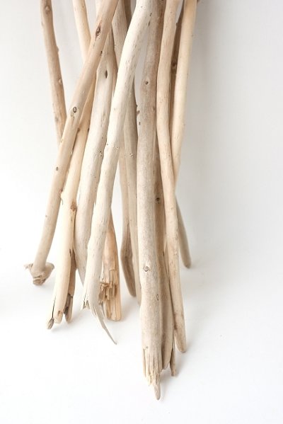 画像1: 小枝流木セット