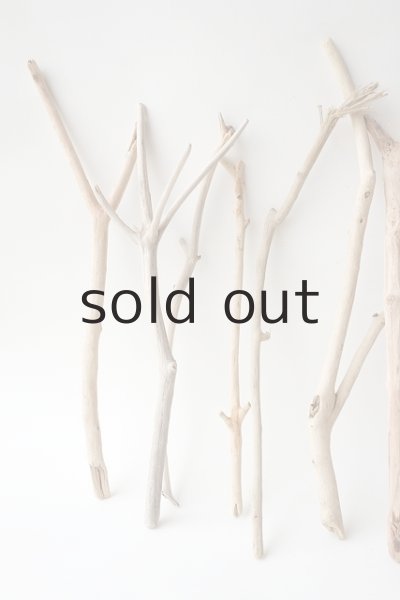 画像2: 小枝流木セット (2)