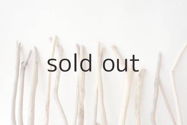 画像7: 小枝流木セット (7)