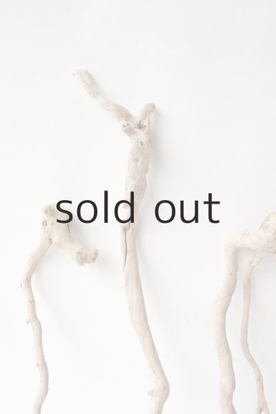 画像3: 流木根セット (3)