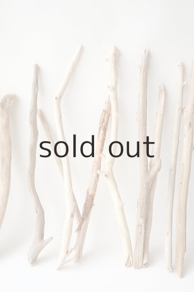 画像4: 小枝流木セット (4)