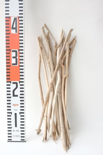 画像3: 小枝流木セット