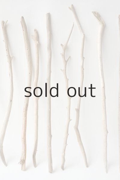 画像3: 小枝流木セット (3)