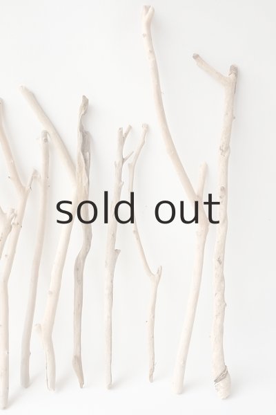 画像4: 小枝流木セット (4)