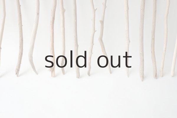 画像5: 小枝流木セット (5)