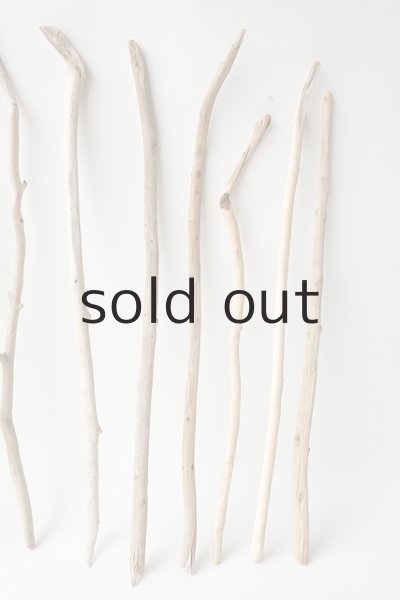 画像4: 小枝流木セット (4)