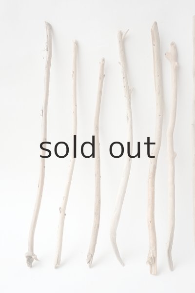 画像2: 小枝流木セット (2)