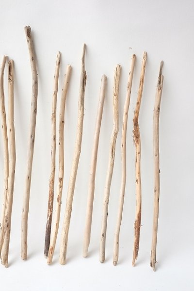 画像4: 棒流木セット (4)