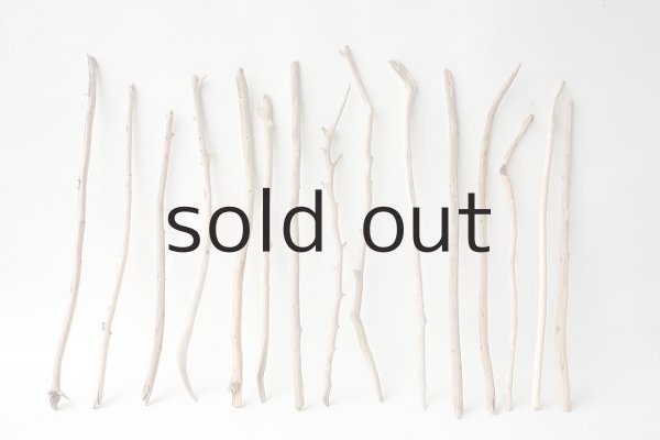 画像1: 小枝流木セット (1)