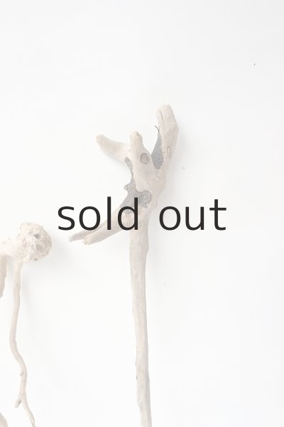 画像5: 流木根セット (5)