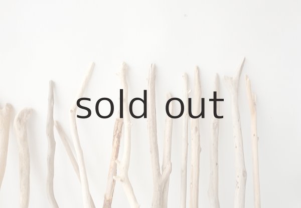 画像8: 小枝流木セット (8)