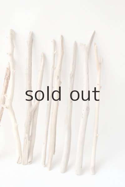 画像5: 小枝流木セット (5)