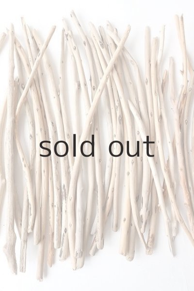 画像4: 棒流木・極細セット (4)