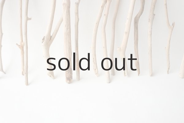 画像5: 小枝流木セット (5)