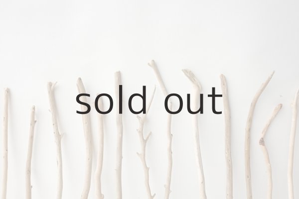 画像6: 小枝流木セット (6)