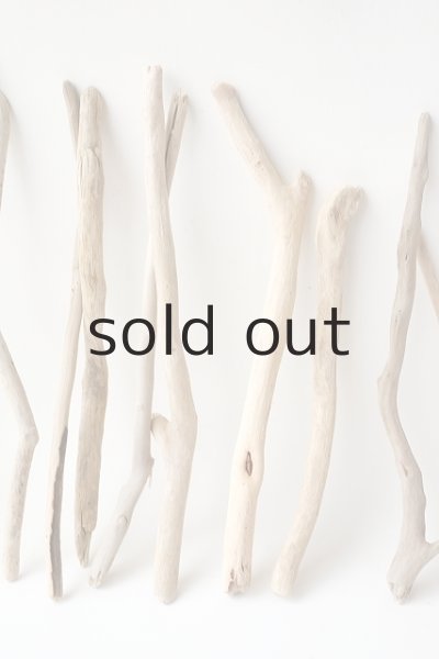 画像3: 小枝流木セット (3)