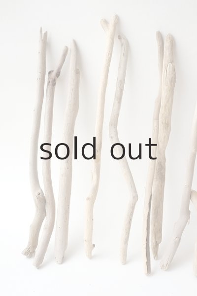 画像2: 小枝流木セット (2)