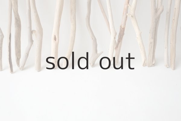 画像6: 小枝流木セット (6)