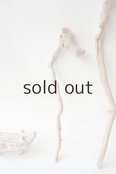 画像2: 流木根セット (2)