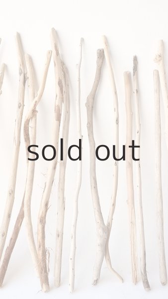 画像3: 小枝流木セット (3)