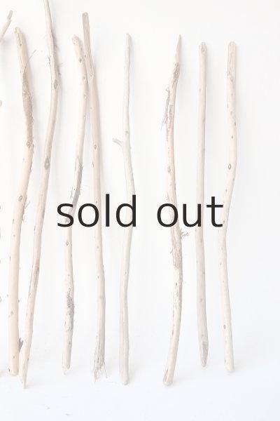 画像3: 棒流木セット (3)