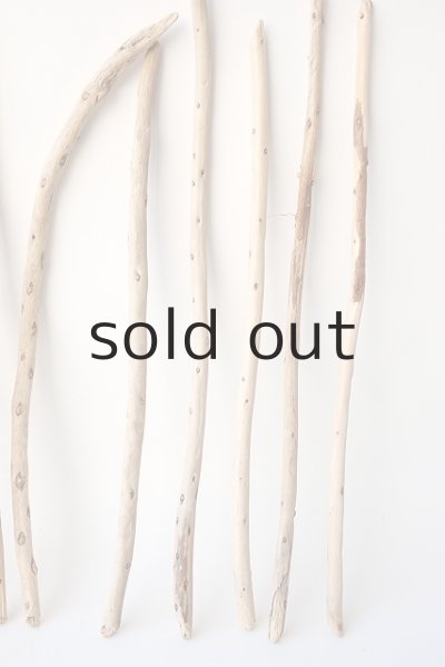 画像4: 棒流木セット (4)