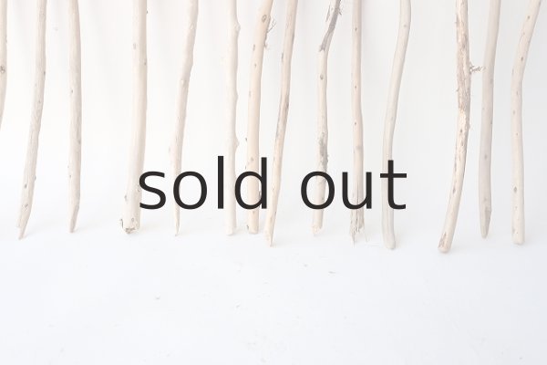 画像4: 棒流木セット (4)