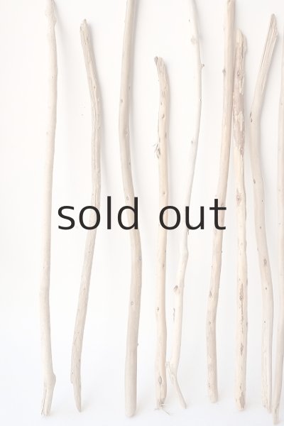 画像2: 棒流木セット (2)