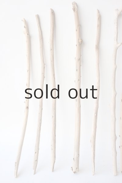 画像2: 棒流木セット (2)