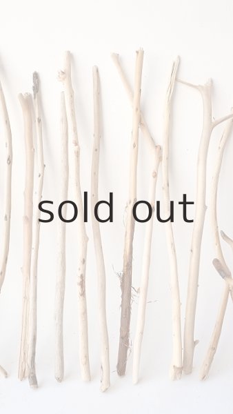 画像4: 小枝流木セット (4)