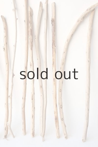 画像3: 棒流木セット (3)