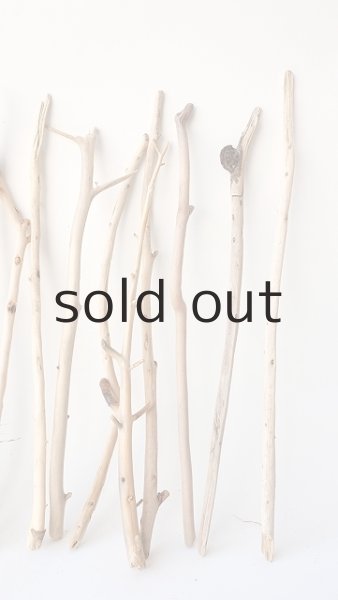 画像5: 小枝流木セット (5)