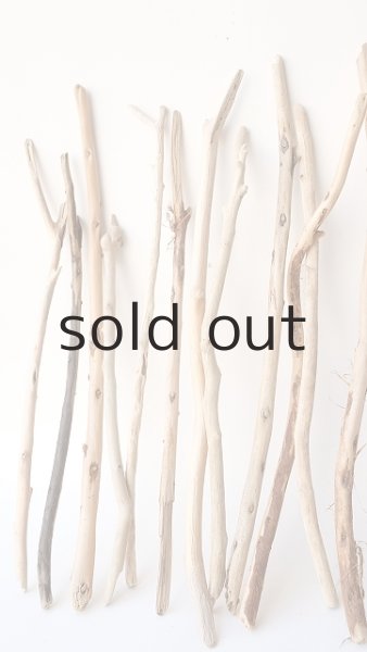 画像2: 小枝流木セット (2)