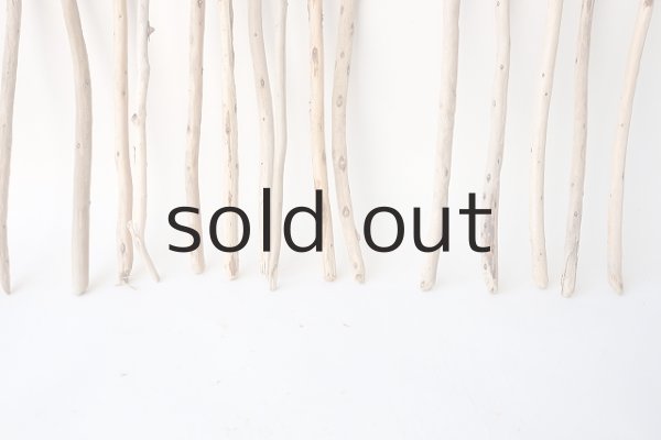 画像5: 棒流木セット (5)