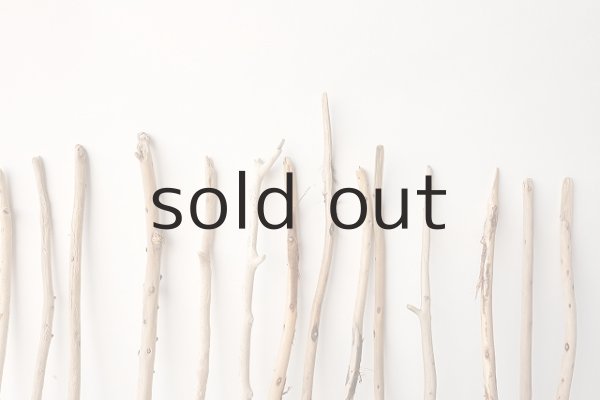 画像5: 棒流木セット (5)