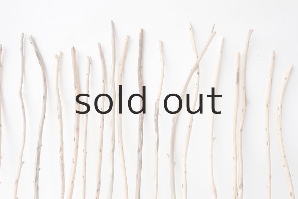 画像6: 棒流木セット (6)