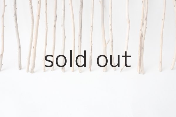 画像5: 棒流木セット (5)